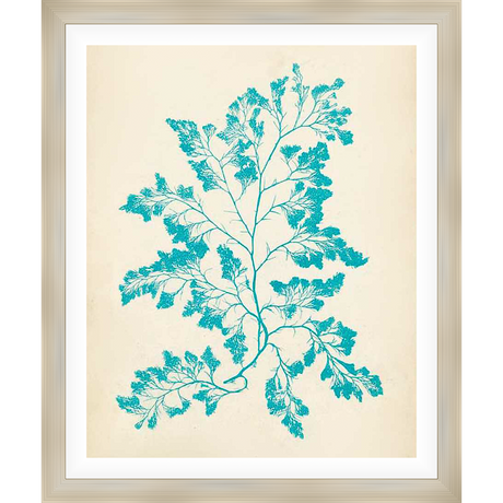 A serene print showcasing an elegant botanical illustration of a plant with delicate branch structures and textured leaves. This artwork evokes a sense of natural beauty, perfect for enhancing any space with a touch of coastal charm.