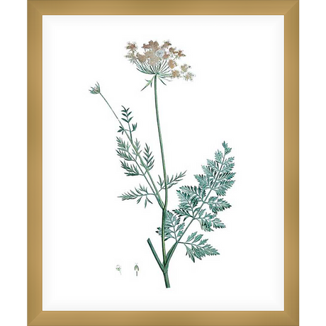 This botanical print showcases a delicate illustration of a flowering plant, capturing the intricacies of its stems, leaves, and blooms. This artwork is perfect for adding a touch of nature to any space.