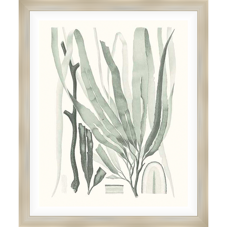 This artwork presents a serene depiction of various seaweeds, rendered in subtle, blended tones to evoke a sense of tranquility. The piece captures the intricate forms and textures of the natural world, creating a calming aesthetic suitable for any space.