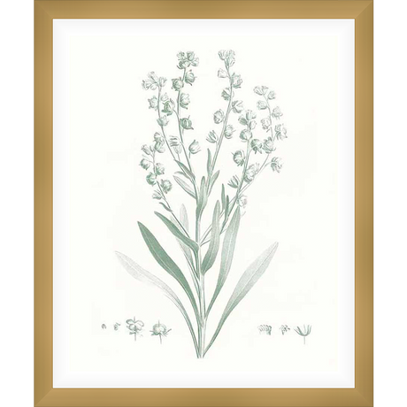 Botanical Greenery Art Print