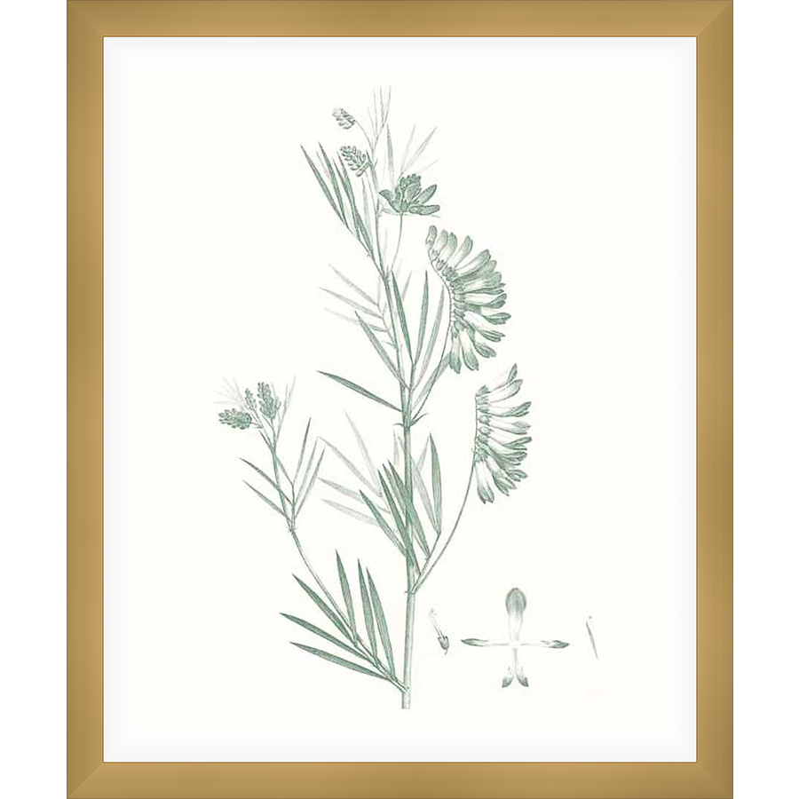 This botanical illustration features delicate sprigs and flowers, meticulously detailed in a vintage style. The elegant design adds a touch of nature-inspired serenity to any space.