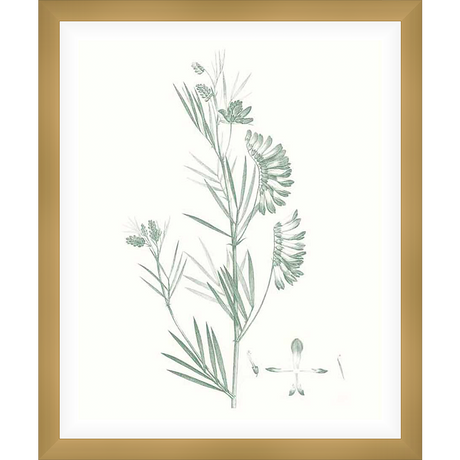 This botanical illustration features delicate sprigs and flowers, meticulously detailed in a vintage style. The elegant design adds a touch of nature-inspired serenity to any space.
