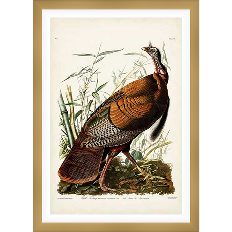This vintage-inspired artwork showcases a detailed illustration of a wild turkey amidst its natural habitat. The print captures the bird's plumage and features delicate renderings of foliage, offering a classic and charming addition to any art collection or home decor.