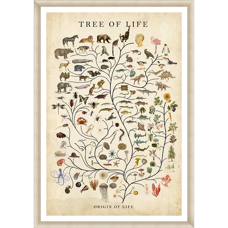 A fascinating vintage-style print showcases the evolutionary "Tree of Life," featuring a detailed illustration of various animals, plants, and organisms. The artwork illustrates the interconnectedness of life on Earth.
