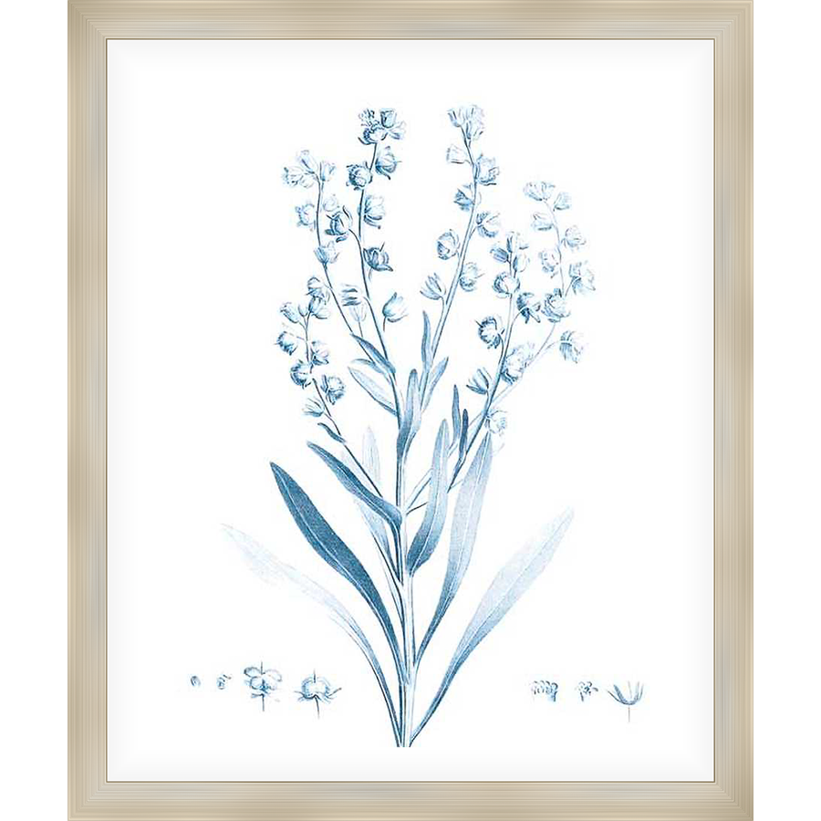 A delicate botanical print showcases a detailed illustration of wildflowers, capturing the subtle beauty of nature. This art print offers a touch of elegance and a serene ambiance to any living space.