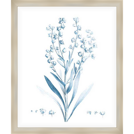 A delicate botanical print showcases a detailed illustration of wildflowers, capturing the subtle beauty of nature. This art print offers a touch of elegance and a serene ambiance to any living space.