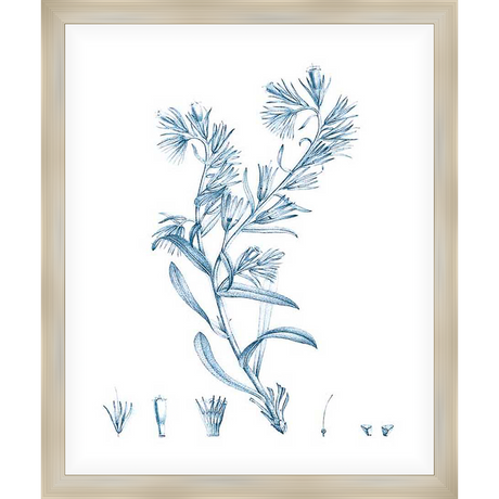 This botanical art print showcases a delicate illustration of flowering plant with intricate details. Its timeless design complements any decor, adding a touch of natural elegance.