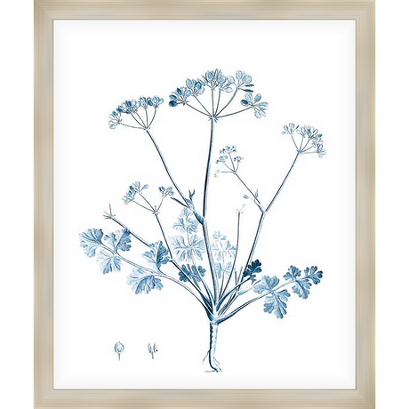 This botanical print showcases a delicate illustration of flowering plant, rendered in a vintage style. The artwork brings a touch of natural elegance to any space, with its soft blue hues and intricate detailing.