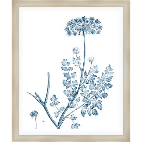 A botanical illustration of a flowering plant, rendered in a classic blue and white style. This artwork adds a touch of natural elegance to any space, bringing a serene and sophisticated vibe to your home decor.