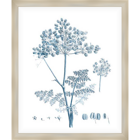 This botanical print showcases a detailed illustration of a flowering plant, perfect for adding a touch of nature-inspired elegance to any space. The artwork features a delicate rendering of the plant's structure, from its intricate seed heads to its fine foliage.