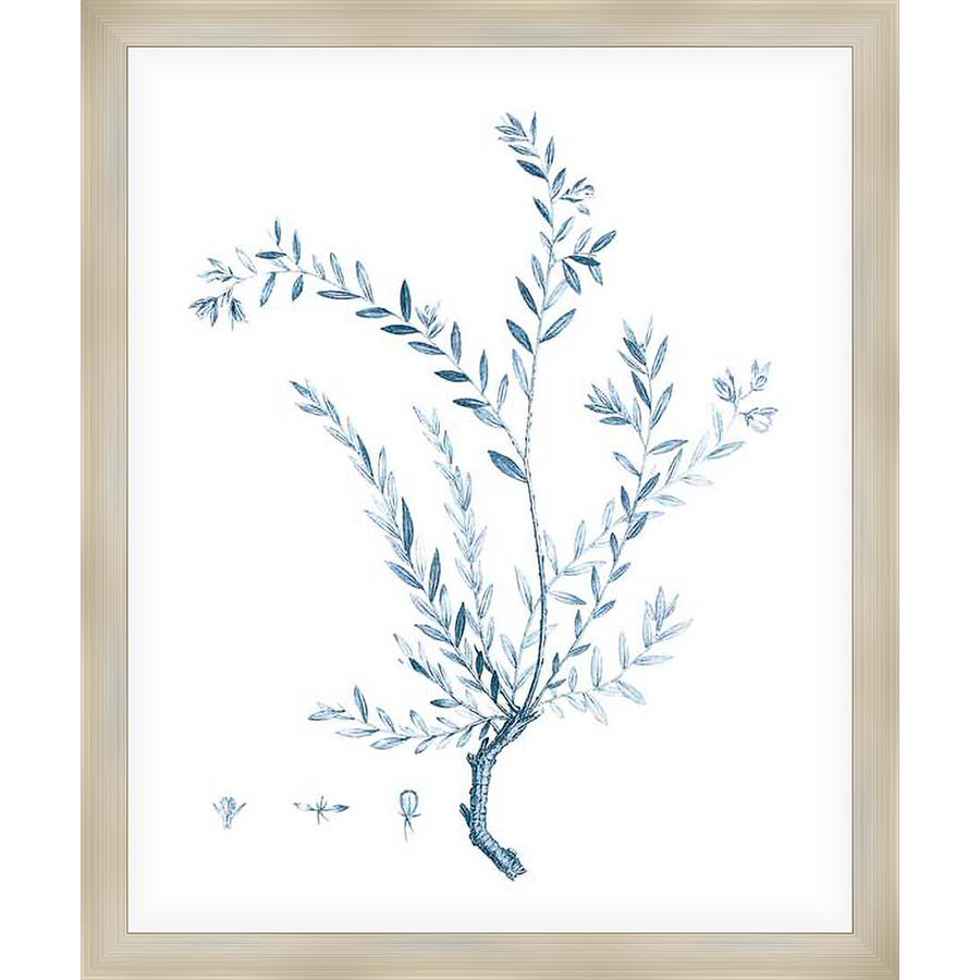 Embrace the serene beauty of nature with this stunning botanical print. Featuring elegant, detailed illustrations of leaves and stems, this artwork brings a touch of natural sophistication to any space. Perfect for those who appreciate understated elegance.