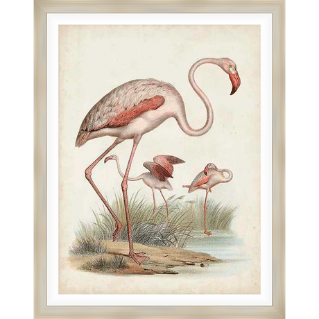 A vintage-style art print showcases elegant flamingos in their natural habitat. This print brings a touch of nature and a vintage aesthetic to any space.