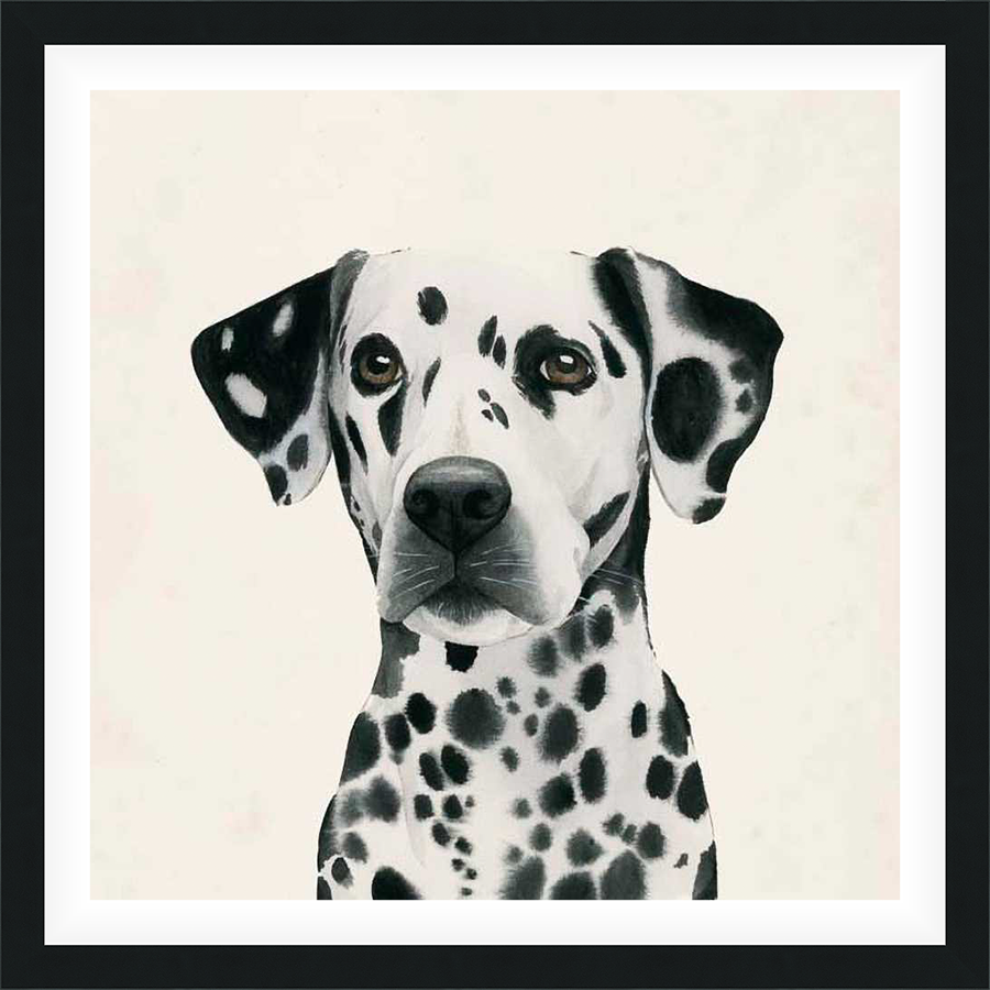 A charming watercolor portrait of a Dalmatian dog, showcasing its distinctive black spots and attentive gaze against a soft, neutral background. This artwork captures the breed's classic elegance and makes a delightful addition to any home decor, bringing a touch of animal charm.