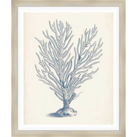 A captivating botanical print depicts an intricate illustration of a coral formation, reminiscent of a stylized underwater landscape. The fine lines and shading create depth and detail, making it a beautiful addition to any coastal-inspired decor.
