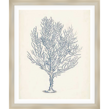 This stunning artwork depicts a detailed illustration of coral, rendered in a sophisticated style. Its serene design and neutral palette create a calming ambiance, making it a perfect addition to any space seeking a touch of coastal elegance.