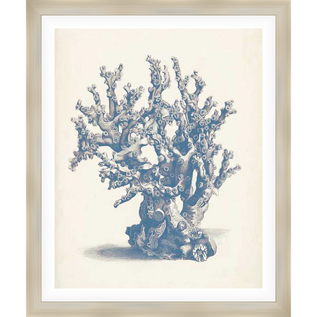 This detailed illustration showcases a stylized rendition of coral, capturing its intricate textures and natural forms with a vintage, botanical aesthetic. Perfect for bringing a touch of the ocean's beauty into your home or office, this print is a striking addition to any coastal or nature-inspired decor.