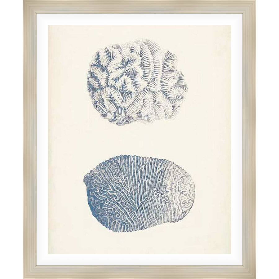 This captivating artwork showcases two detailed coral illustrations, reminiscent of vintage botanical prints. The pieces are rendered with delicate linework and subtle shading, making it a sophisticated addition to any space.