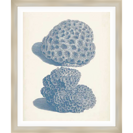 This art print showcases intricate illustrations of coral formations, offering a touch of coastal elegance to any space. The detailed renderings and calming color palette make it a perfect addition to a living room, bedroom, or office.