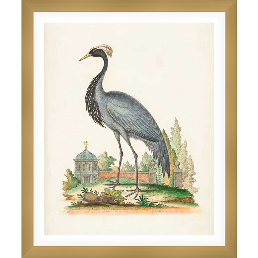 This stunning artwork depicts a detailed, hand-painted illustration of a crane standing in a garden. The piece showcases intricate detail and is sure to be a focal point. This print adds an element of nature and elegance.