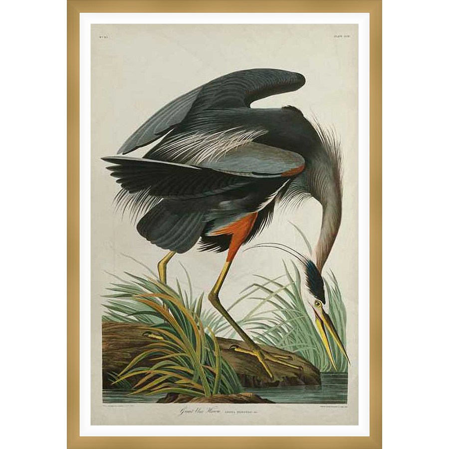 A stunning ornithological illustration showcases a Great Blue Heron in a lifelike pose, delicately depicted in striking detail and vibrant color. The artwork features a majestic bird with extended wings and elegant posture, rendered in a vintage style for a touch of classic elegance.
