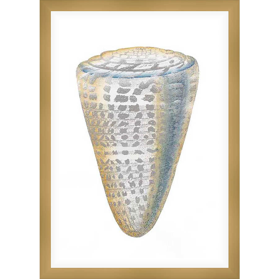 This artwork showcases a meticulously detailed rendering of a conch shell, featuring intricate patterns and subtle color variations, evoking the beauty of the natural world.