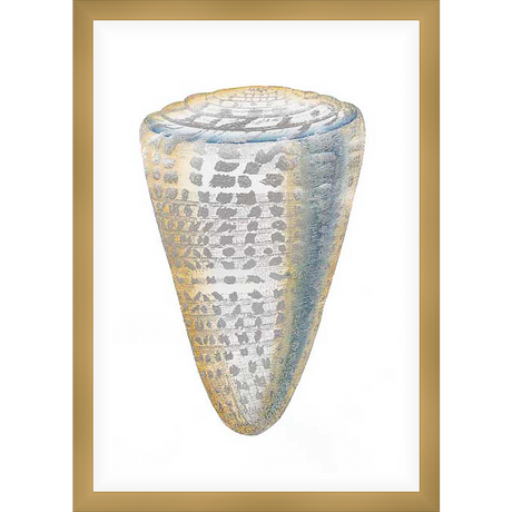 This artwork showcases a meticulously detailed rendering of a conch shell, featuring intricate patterns and subtle color variations, evoking the beauty of the natural world.