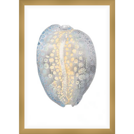 A serene seashell print showcases a beautiful blend of colors and textures. This art piece will be a delicate addition to any space, bringing a touch of coastal charm.