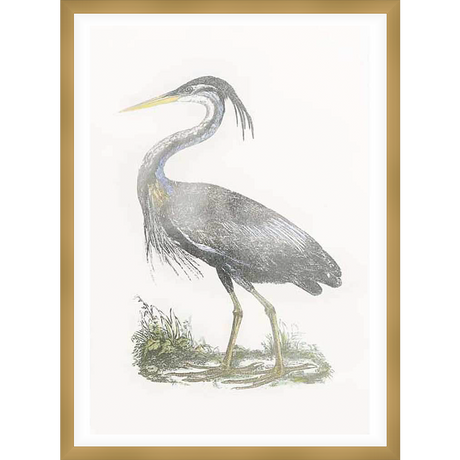 A stunning detailed depiction of a great blue heron, captured with exquisite detail and a delicate aesthetic. This artwork adds an elegant touch of nature-inspired art to any space.