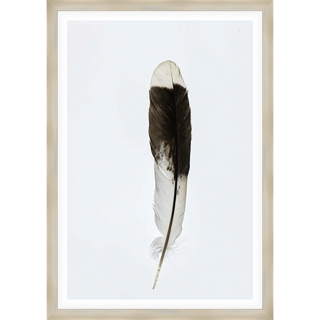 A striking close-up captures the beauty of a single feather, showcasing its intricate textures and patterns against a clean, minimalist backdrop. This artwork brings a touch of natural elegance to any space.