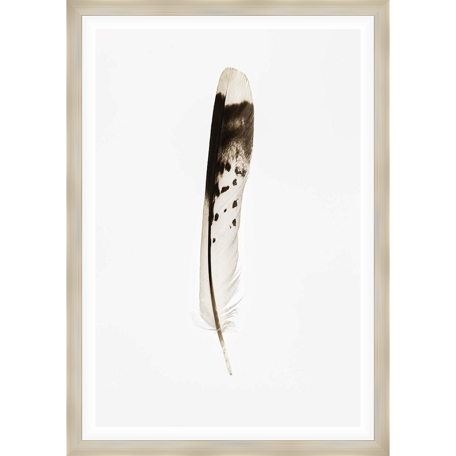 Add a touch of natural elegance to your space with this striking feather artwork. This piece showcases a single, delicately detailed feather, capturing the beauty and serenity of the natural world. Perfect for adding a minimalist and sophisticated touch to any room.