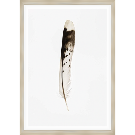 Add a touch of natural elegance to your space with this striking feather artwork. This piece showcases a single, delicately detailed feather, capturing the beauty and serenity of the natural world. Perfect for adding a minimalist and sophisticated touch to any room.