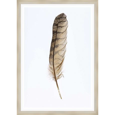 A delicate feather, rendered in intricate detail, takes center stage in this artwork. Its subtle coloration and graceful form capture the essence of nature's beauty, creating a tranquil and artistic accent for any space.