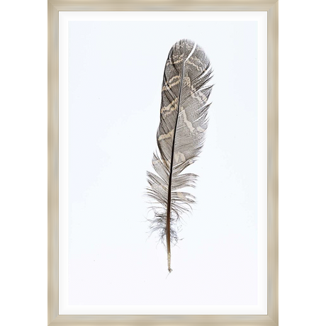 A detailed photograph captures the delicate beauty of a single feather, showcasing intricate patterns and textures against a crisp white background. This artwork evokes a sense of lightness and natural elegance.