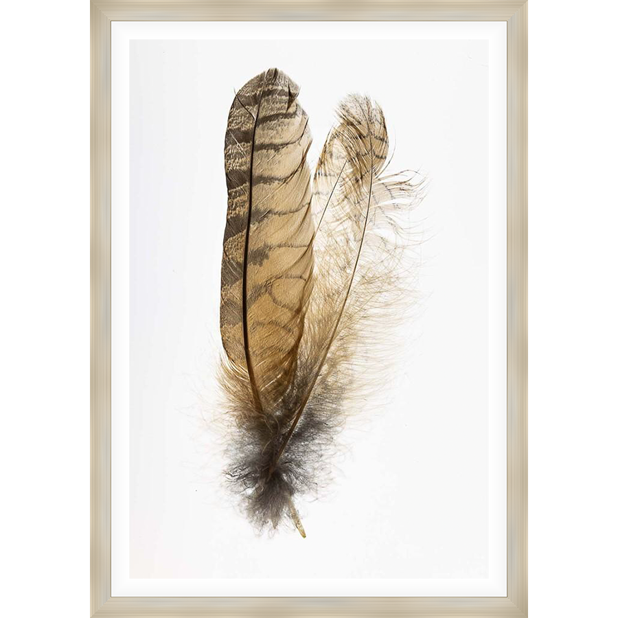 Two delicate feathers in a soft, natural palette float against a bright white background, creating a serene and elegant artwork. These detailed closeups showcase the textures and beauty of nature, perfect for adding a touch of calm to any space.