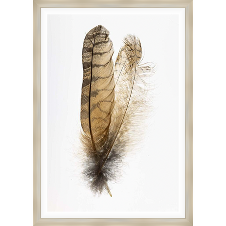 Two delicate feathers in a soft, natural palette float against a bright white background, creating a serene and elegant artwork. These detailed closeups showcase the textures and beauty of nature, perfect for adding a touch of calm to any space.