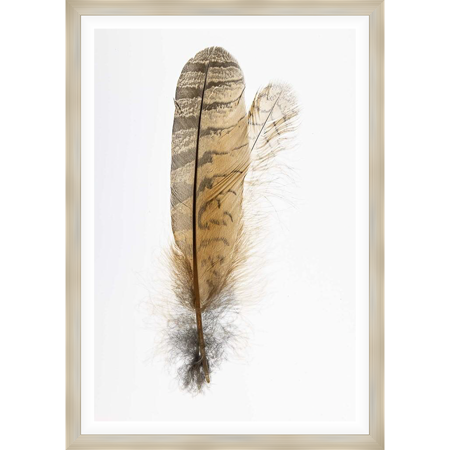 A close-up image showcases the intricate beauty of two feathers, rendered in striking detail against a white background. The natural texture and color variations of the feathers, from the fine barbs to the central quills, are vividly captured in this artistic piece.