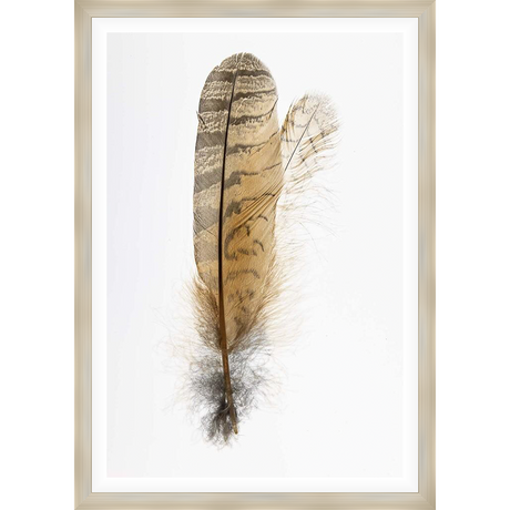 A close-up image showcases the intricate beauty of two feathers, rendered in striking detail against a white background. The natural texture and color variations of the feathers, from the fine barbs to the central quills, are vividly captured in this artistic piece.
