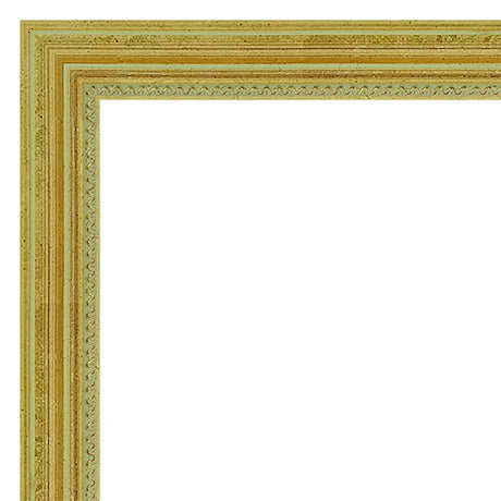 Our Gold Traditional Solid Wood Picture Frame #06355