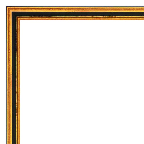Our Gold Traditional Solid Wood Picture Frame #06477