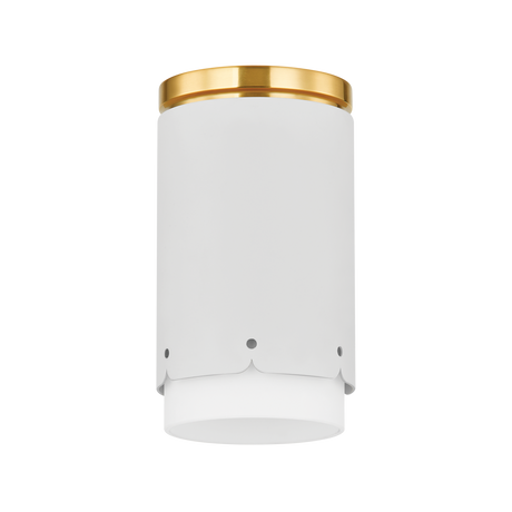 asa-flush-mount-H870501-AGB/SWH