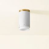 asa-flush-mount-H870501-AGB/SWH-2