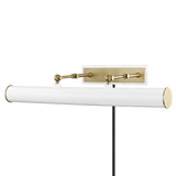 holly-plug-in-picture-light-HL263203-AGB/WH