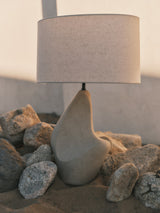 huntly-table-lamp-PTL3727-BRZ/CIB-9