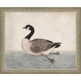 SA009-VINTAGE GOOSE Hand framed in an ornate dark silver frame. Finished Size: W 11.25 in x H 9.25 in