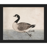 VINTAGE GOOSE - Kings Fine Art & Decor