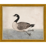 SA009-VINTAGE GOOSE Hand framed in a transitional gold frame. Finished Size: W 11.25 in x H 9.25 in
