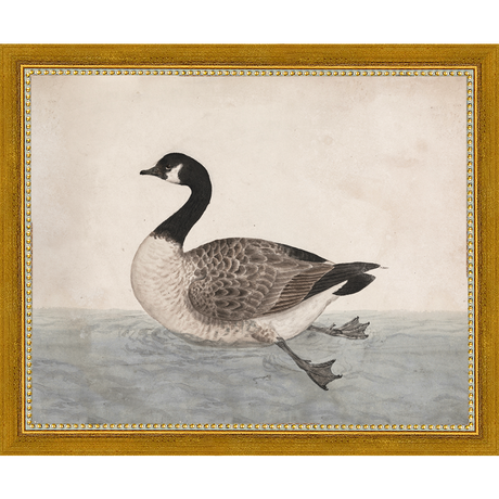 SA009-VINTAGE GOOSE Hand framed in a transitional gold frame. Finished Size: W 11.25 in x H 9.25 in
