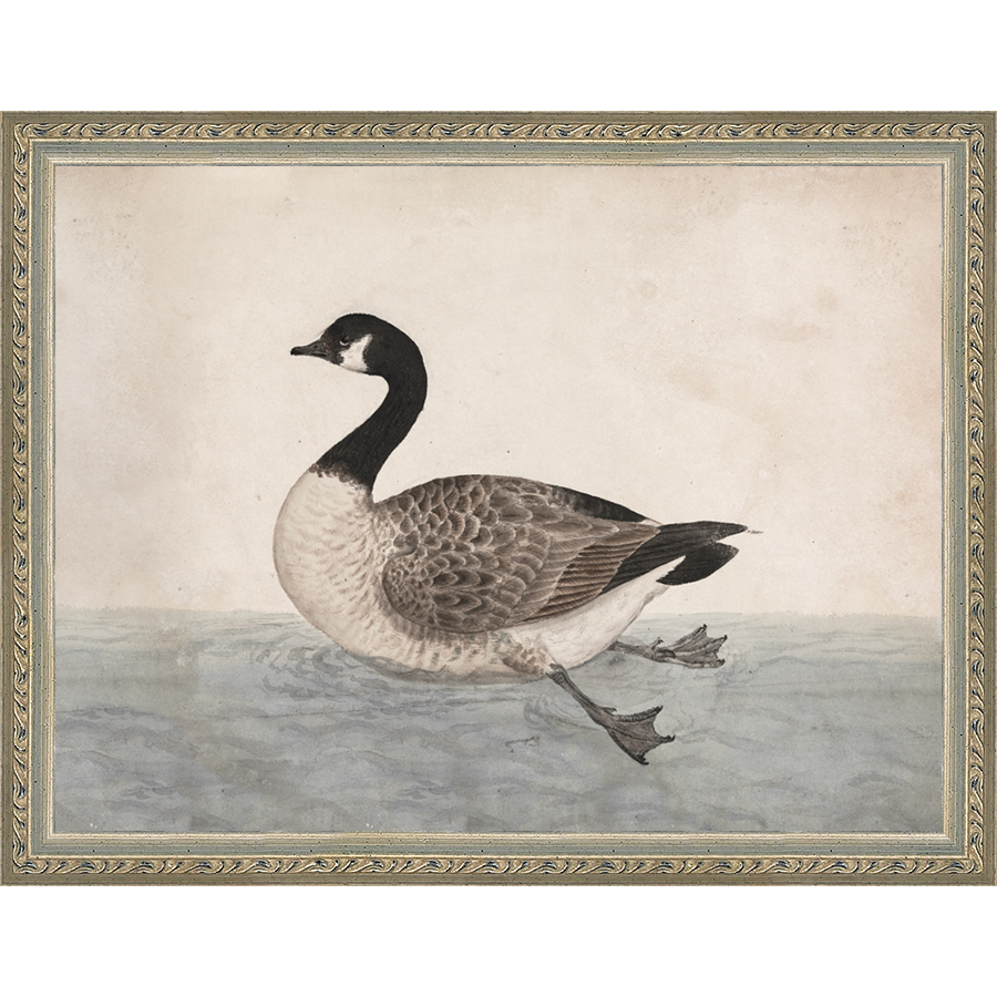 SA009-VINTAGE GOOSE Hand framed in an ornate dark silver frame. Finished Size: W 13.25 in x H 10.25 in
