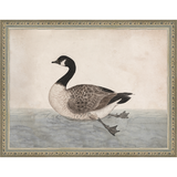 SA009-VINTAGE GOOSE Hand framed in an ornate dark silver frame. Finished Size: W 13.25 in x H 10.25 in
