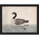 VINTAGE GOOSE - Kings Fine Art & Decor